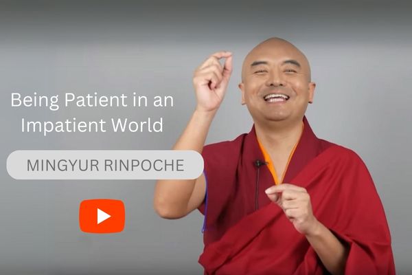Yongey Mingyur Rinpoche blickt in die Kamera und spricht